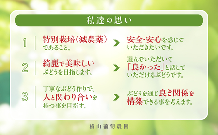 【✩先行予約✩2024年/令和6年発送分】減農薬シャインマスカット2.0㎏／3房