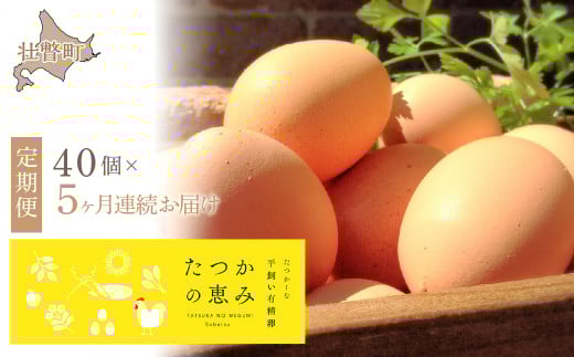 平飼い有精卵『たつかの恵み』40個× 5ヶ月連続お届け SBTT004