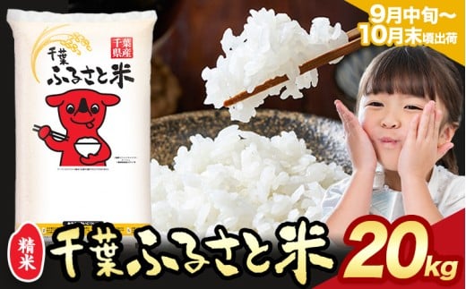 令和6年産 米 千葉 ふるさと米 20kg《9月中旬-10月末頃出荷》千葉県 勝浦市 米 白米 精米 国産 お米 おこめ お弁当 おにぎり こしひかり