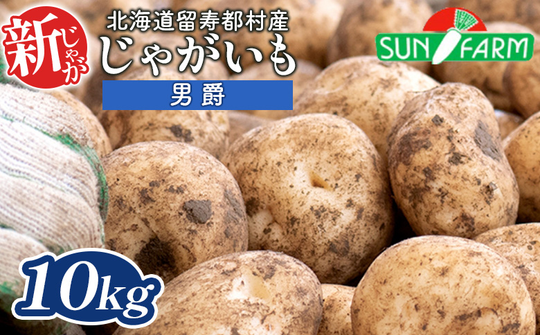 新じゃがいも（男爵） 10kg【2401501】