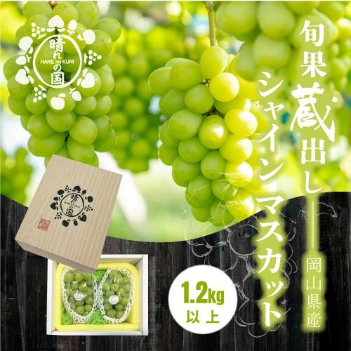 【ふるさと納税】【旬果蔵出し】岡山県産 シャインマスカット 1.2kg以上（2～3房）＜2026年12月上旬～2027年1月中旬発送＞ | フルーツ 果物 くだもの シャインマスカット マスカット 岡山 岡山県産 国産 ギフト 贈答用 プレゼント おすすめ 人気