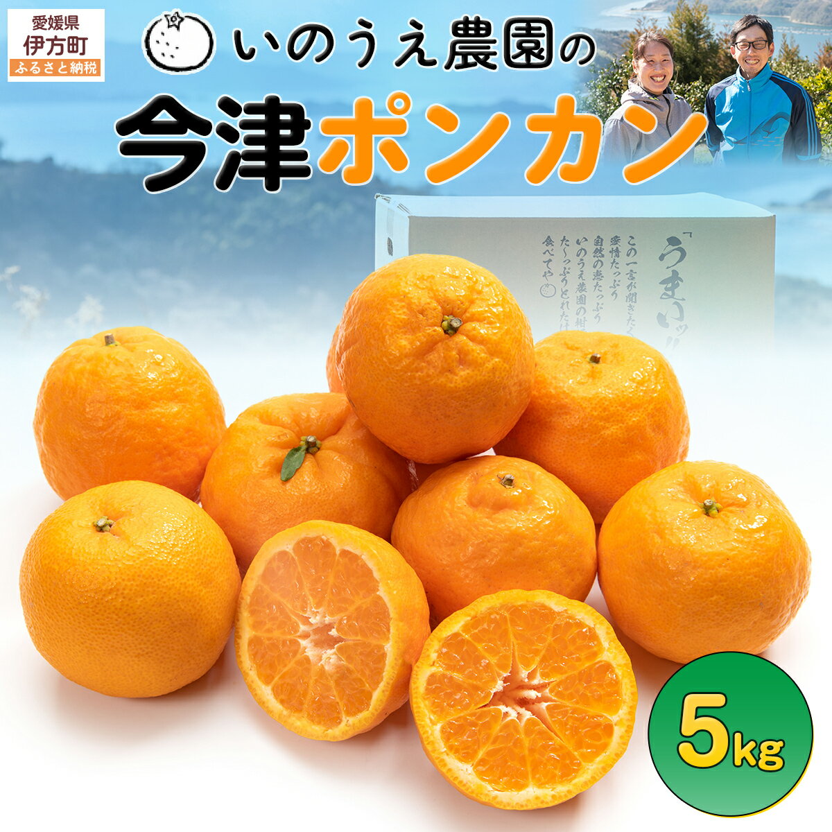 【ふるさと納税】【先行予約】いのうえ農園の今津ポンカン 5kg ※離島への配送不可（2026年2月上旬より順次発送） 【 ふるさと納税 人気 おすすめ 柑橘 みかん 蜜柑 オレンジ ポンカン 今津ポンカン フルーツ 果物 産地直送 いのうえ農園 愛媛県 伊方町 送料無料 】 IKTAI004