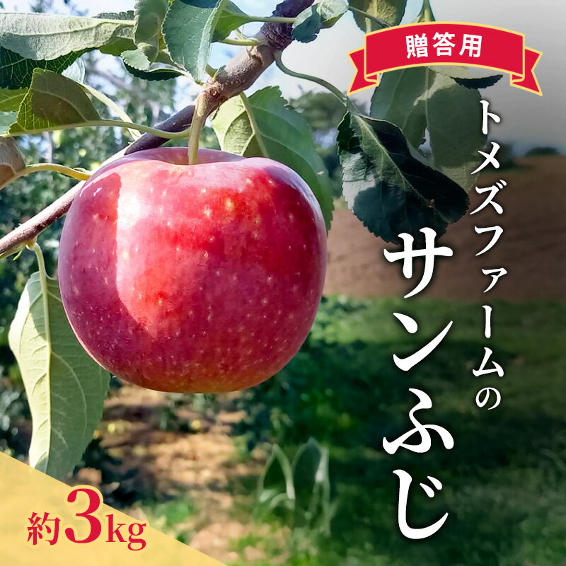 【ふるさと納税】サンふじ（贈答用） 約3kg（8玉〜12玉入り）トメズファーム　りんご　長野　信州　小諸　果物　フルーツ