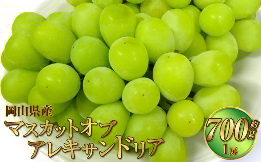 岡山県産 マスカットオブアレキサンドリア 約700g（700g×1房） 【2026年8月下旬～9月下旬迄発送予定】 果物 くだもの フルーツ ぶどう ブドウ 葡萄 マスカット