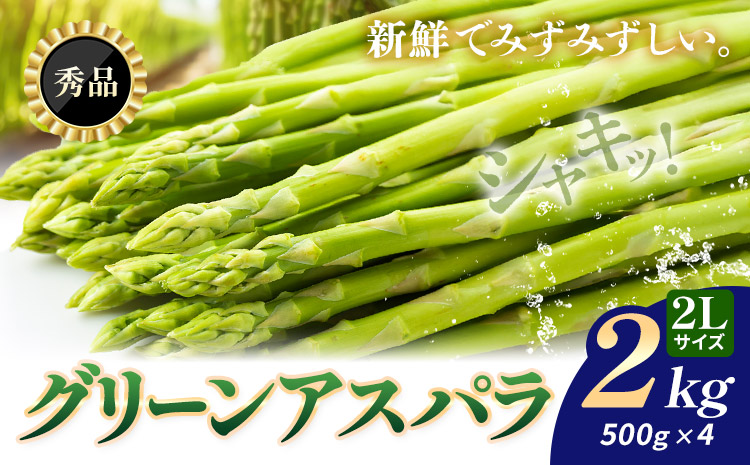 アスパラガス 秀品 アスパラ グリーンアスパラ 2L サイズ 2kg (500g×4) 門別町農業協同組合(生活資材課)《4月上旬-5月末頃出荷》北海道 日高町 送料無料 春野菜 春 朝採り 朝採れ 