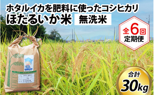 ほたるいか米（無洗米５kg）×6回 計30kg【6ヶ月定期便】