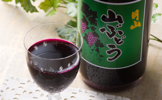 FYN6-387 月山 山ぶどうジュース900ml×2