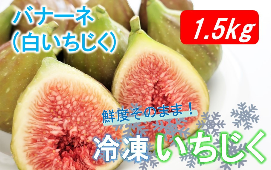 
鮮度そのまま! 冷凍完熟いちじく / バナーネ(白いちじく)1.5kg_2287R
