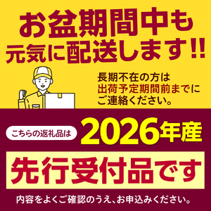 【2024年分先行予約】北海道十勝芽室町 スイートコーンゴールドラッシュ20本 me001-020-24c