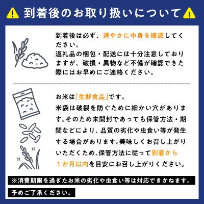 ふるさと納税 平川市 ≪令和9年2月発送≫　特別栽培米  はれわたり玄米10kg【青森県 平川市】 |  | 02