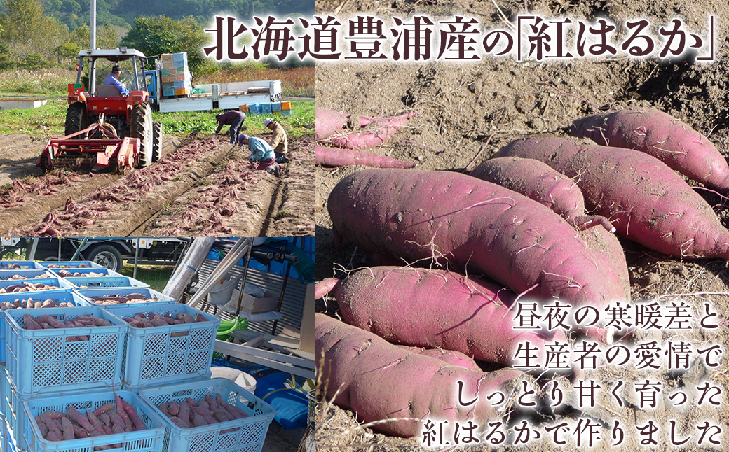 干し芋100g×5セット（北海道豊浦町産　紅はるか使用） TYUL032