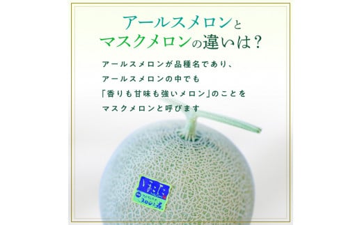【3ヶ月定期便】アールスメロン（マスクメロン）1個入り（約1.5kg 2kg）×3回
