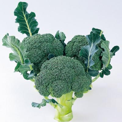 ふるさと納税 東かがわ市 ブロッコリー　約2.5kg