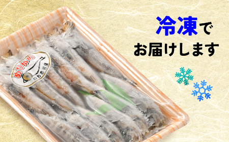 メヒカリ干し　300グラム | メヒカリ 干し 身ふっくら 香ばしい 目光 常磐もの いわき産 産地直送 塩味 焼くだけ ご飯にも お酒にも おつまみ 白身魚 海鮮干物 ギフト 敬老の日 お歳暮 家呑