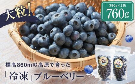 治助ファームの北部ハイブッシュブルーベリー「冷凍果実」380g×2袋 | 国産 ブルーベリー  LJ004VC13