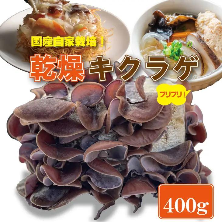 国産 自家製 乾燥 きくらげ （400g）ジョブクリエイト きくらげ B130-053