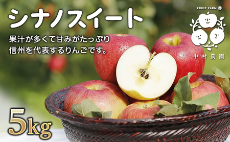 2026年産先行予約 りんご 5kg 樹上熟成 シナノスイート 林檎 リンゴ 果物 くだもの フルーツ 旬の果物 旬のフルーツ 季節の果物 季節のフルーツ 美味しい果物 長野県産 長野県産りんご 信州 長野 長野県 長野市