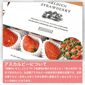 いちご 1,100g アスカルビー 【いちご】