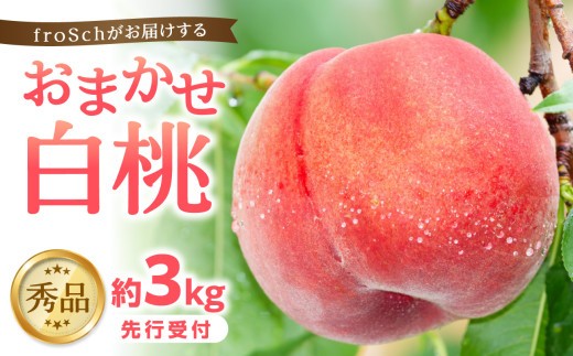 
             ≪先行受付≫ froSchがお届けするおまかせ白桃 約3kg 【2025年7月下旬より順次発送予定】【060-002】
          