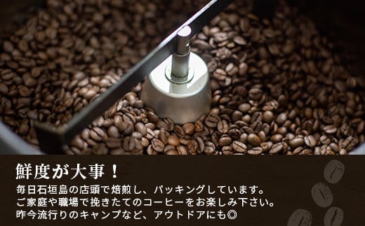 【3ヶ月定期便】石垣島産コーヒー豆MIXブレンド ドリップパック10個と焙煎豆100g×4袋セット | 沖縄県石垣市 沖縄 沖縄県 琉球 八重山 八重山諸島 石垣 石垣島 定期便 送料無料 コーヒー 