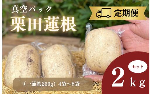 定期便（9月～翌年3月）真空パック栗田蓮根2キロセット