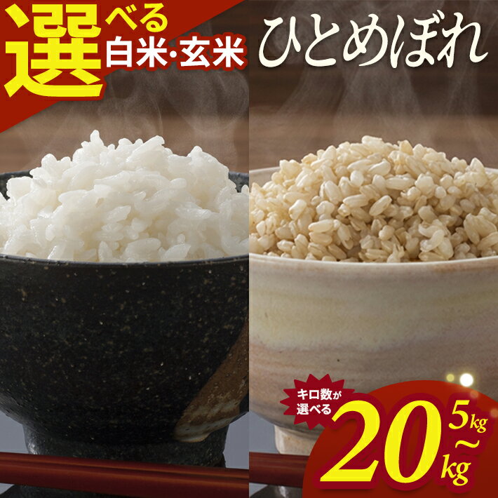 【ふるさと納税】ひとめぼれ 選べる 5kg 10kg 15kg 20kg 白米 玄米 令和7年産 山形県酒田産 東北 山形県 酒田市 庄内地方 庄内平野 庄内米 お米 ごはん ご飯 精米