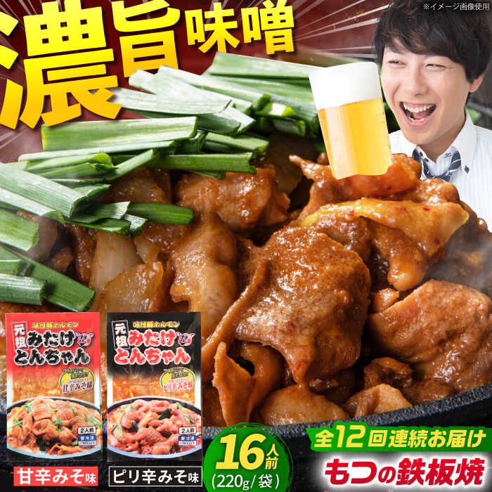 【ふるさと納税】【12回定期便】岐阜県産豚もつの鉄板焼き「元祖みたけとんちゃん」2種セット（16人前） / モツ もつ 白もつ ホルモン / 岐阜県 御嵩町 / 藤よし [AVAA017]