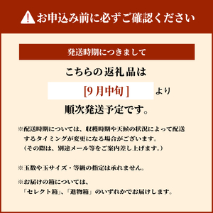 DS-06　南水梨 5kg