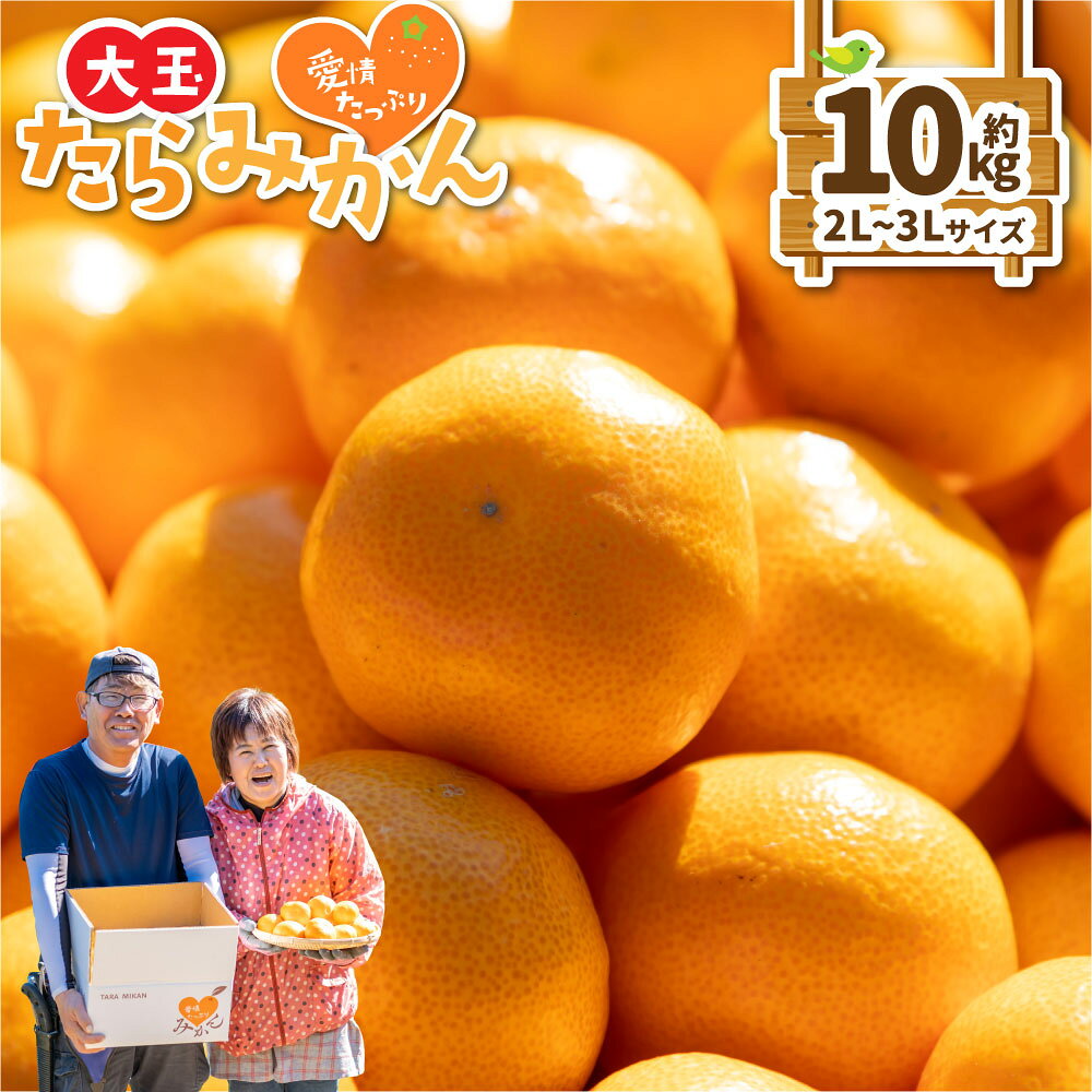 【ふるさと納税】N218x1 愛情たっぷりたらみかん（大玉）10kg【2026年11月上旬-12月下旬発送予定】