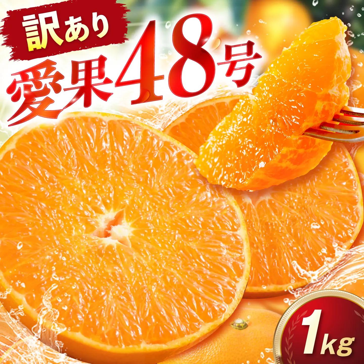 みかん 訳あり 愛果48号 約1kg サイズ不揃い みかん BJAZ012 