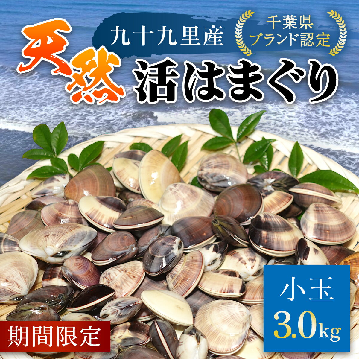 【ふるさと納税】＜先行受付/2025年5月より配送＞【千葉県ブランド認定】天然活はまぐり（小玉）《3kg》ギフトBOX付き ／ふるさと納税 はまぐり ハマグリ 蛤 貝類 魚介 魚介類 魚貝類 海鮮 お吸い物 パスタ パエリア お歳暮 贈答 お祝い プレゼント 千葉県 山武市 SMBO004