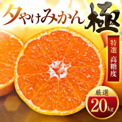 【ふるさと納税】【甘みが濃縮されたみかん】愛媛で育った夕やけみかん【極】20kg(小玉)【H49-30】_ みかん ミカン 柑橘 果物 くだもの フルーツ 甘い 希少 愛媛 デザート 愛媛みかん 密柑 高 【1508884】