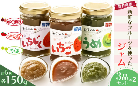 【福井県産】フルーツを使った ジャム 3種 計6個セット（梅ジャム2個 苺ジャム2個 いちじくジャム2個）[m03-a020]