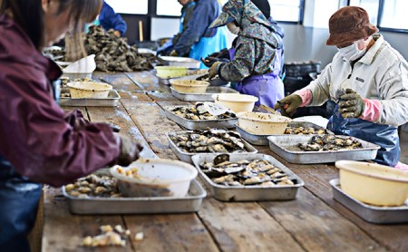 若狭パール 艶々あこや真珠　至宝の7mm一粒ペンダント C