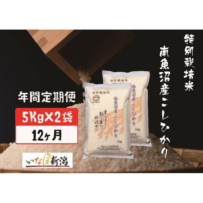 【ふるさと納税】【令和7年産】【定期配送】南魚沼産コシヒカリ特別栽培米 白米 10kg 全12回【2025年10月上旬より順次発送予定】 | お米 こめ 白米 食品 人気 おすすめ 送料無料