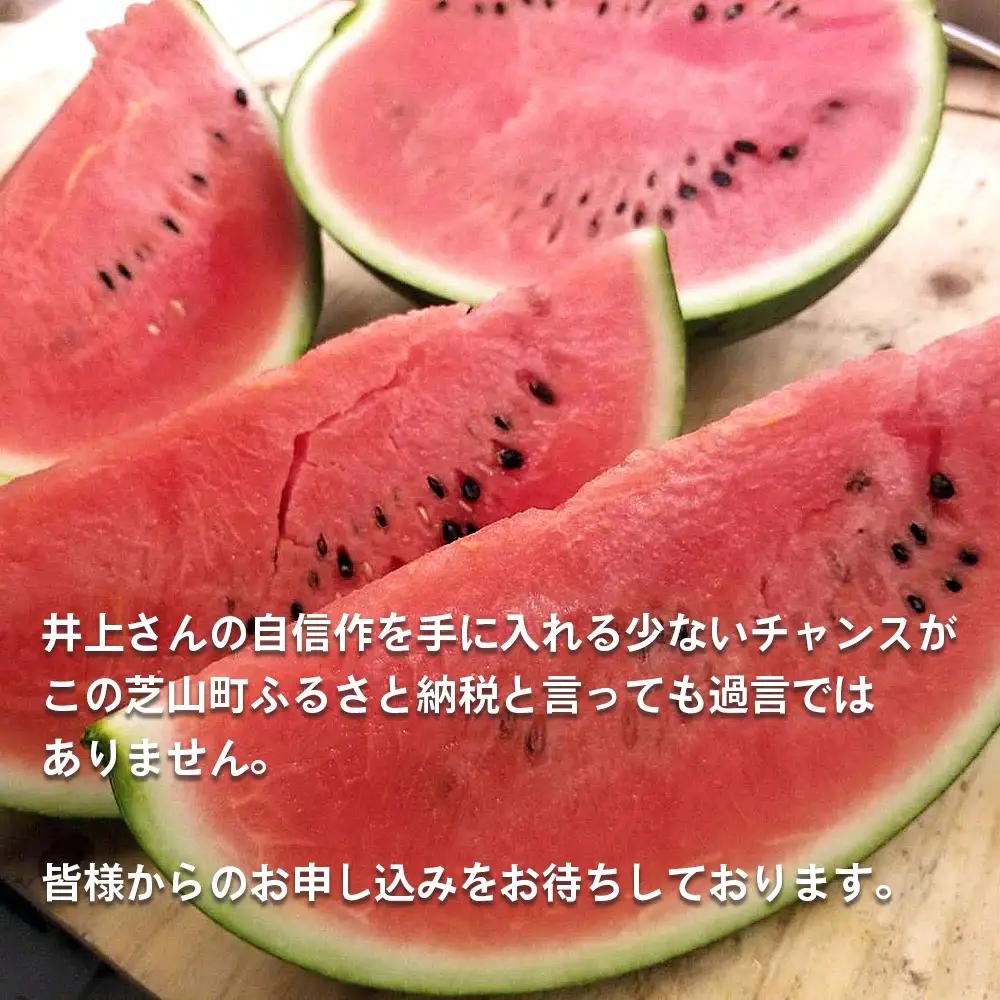 No.012 井上さんの西瓜「自信作（赤肉スイカ）」2Lサイズ以上2玉 ／ スイカ すいか 西瓜 2L 完熟 糖度 高糖度 甘い シャリ感 果物 フルーツ 旬 産地直送 お取り寄せ 贈答 ギフト 暑中