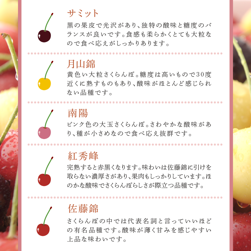 【 先行受付 】さくらんぼ 4種 500g 品種お任せ セット 詰め