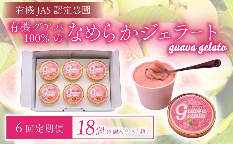 
                  【6回定期便】有機グアバ農園のなめらかジェラート 計18個 | 定期便 デザート スイーツ セット お菓子 夏 詰め合わせ ビタミンC おかし 美容 フルーツ グアバ  食品 人気 冷凍 カップ アイス おすすめ 高知県 南国市
                