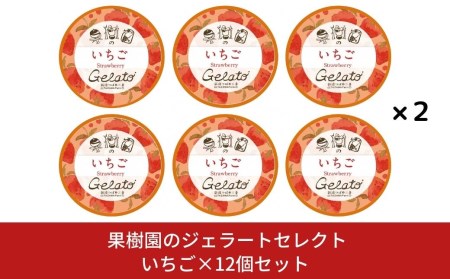 [季節限定] 果樹園のジェラートセレクト [いちご12個セット] ストロベリー ジェラート詰合せ アイス詰合せ ジェラートセット アイスセット 濃厚ジェラート  [田沢農園] 【019S044】