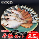 【ふるさと納税】【訳あり】 干物 4種類 約2.5kg セット 塩のみで製造 小分け 個包装 詰め合わせ 冷凍 干物セット カレイ あじ イワシ サバ フィレ ひもの 不揃い おすすめ 冷凍干物 お取り寄せ 魚 冷凍 新鮮 海鮮 お任せ ふるさと納税干物 京都府 舞鶴 舞鶴市