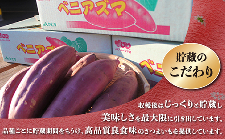 千葉県神崎町 JAかとり産 さつまいも 紅あずま Mサイズ20本入り ほくほく香ばしい 定番の味 焼き芋・干し芋に べにあずま ベニアズマ  [001-a003]【千葉県神崎町ふるさと納税】【焼き芋 