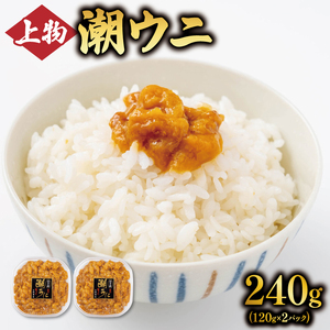 潮うに 240g (120g×2) 冷凍 うに