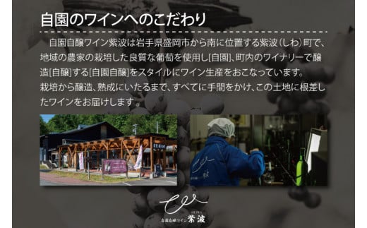 産地限定 ワインぶどう品種使用 ワインミニボトル ２本セット 甘口 ふるさと納税 紫波町産 テロワール ワイン (AL057-2)