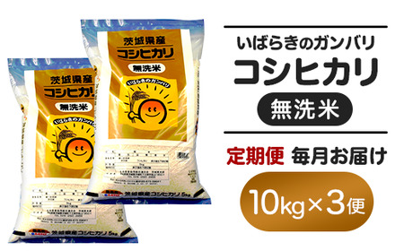 158 無洗米 コシヒカリ 10kg 定期便 令和6年 茨城県産【3ヵ月連続お届け】