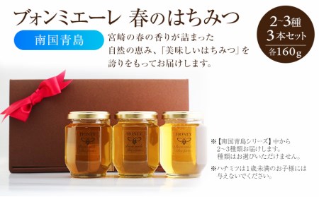 【最速便】【数量・期間限定】宮崎産非加熱ハチミツ(南国青島シリーズ)2～3種 ブォンミエーレ春のハチミツ160g×3本セット 蜂蜜 国産 非加熱