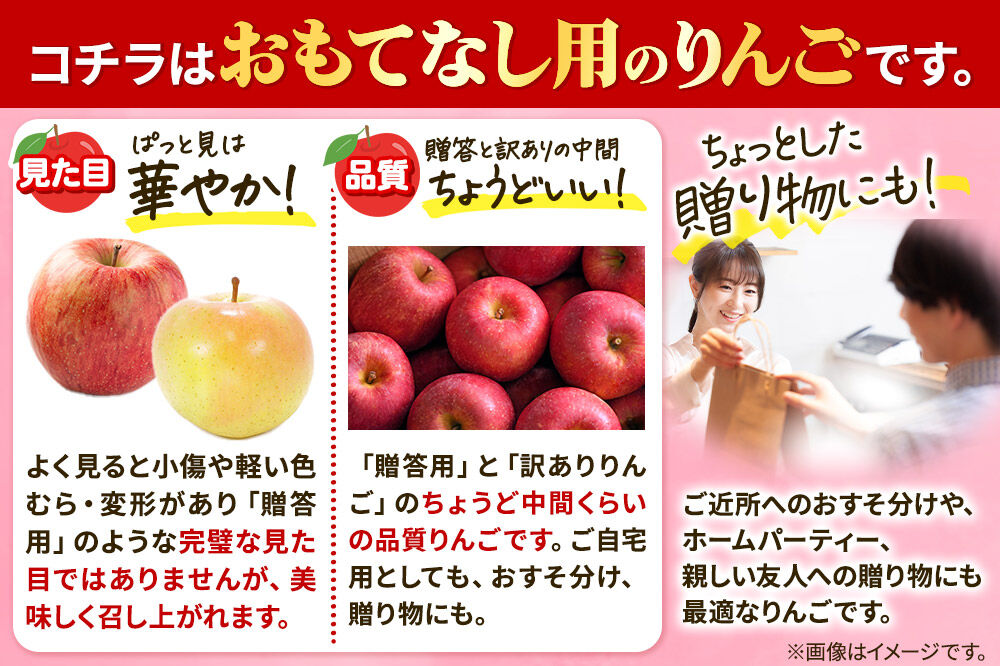 【26年4月発送】りんご 平均糖度13度以上！ サンふじ 約5kg おもてなし用 CA貯蔵 クール便 青森 果物 フルーツ 林檎 リンゴ くだもの [リンゴ 林檎 アップル 果物 産地直送 フルーツ]