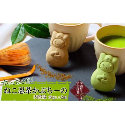ふるさと納税 宇治田原町 《京の老舗》ねこ忍茶かぷちーの 2箱セット