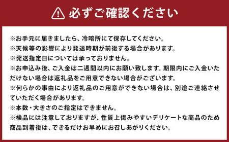 訳あり 紅はるか 約10kg 芋 さつまいも サツマイモ べにはるか 野菜