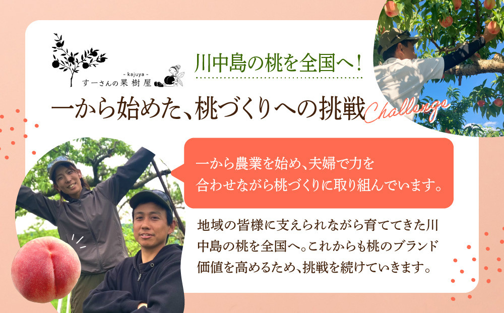 すーさんの果樹屋　【先行予約】川中島の桃 大玉3玉 品種おまかせ 8月中旬～8月下旬発送予定 | 桃 もも フルーツ 果実  人気 おすすめ ギフト 産地直送 送料無料 長野県 長野市 信州 信濃 ふ