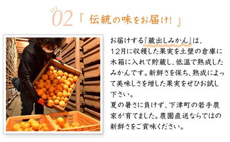 蔵出しみかん6.5kg(大小混合)《ご家庭用》ちょっと訳あり　和歌山県下津町より農園直送！１月中旬頃発送開始　まごころ産直みかん 【北海道・沖縄県・一部離島 配送不可】混合サイズ　わけあり　訳アリ